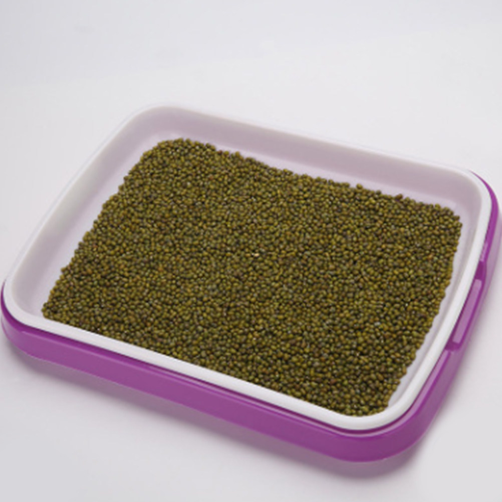 Sprouter Tray Food Grade PP Ma - Food Storage Roots ulasan dan harga