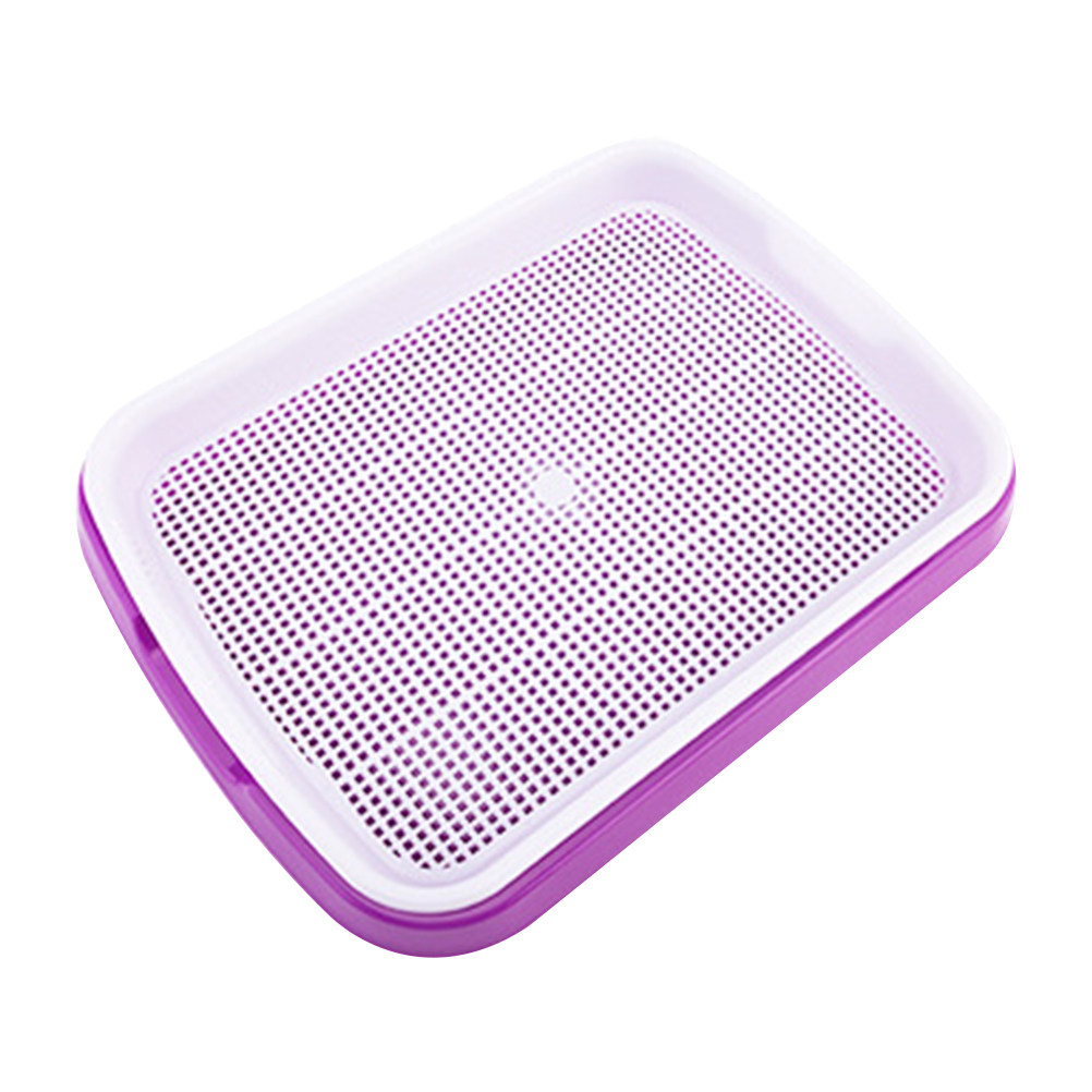 Sprouter Tray Food Grade PP Ma - Food Storage Roots ulasan dan harga