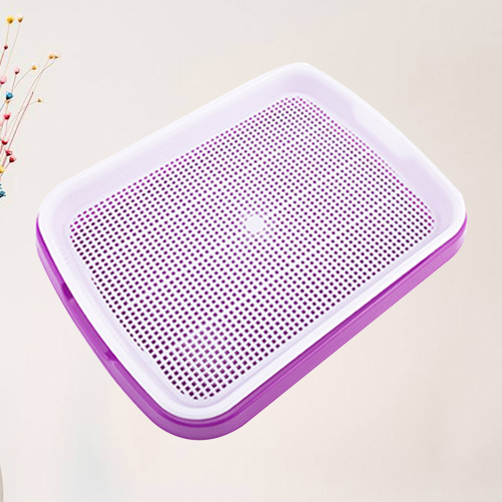 Sprouter Tray Food Grade PP Ma - Food Storage Roots ulasan dan harga