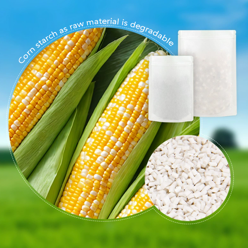 Customized Degradable Kraft Pa - Food Storage Of Plants ulasan dan harga