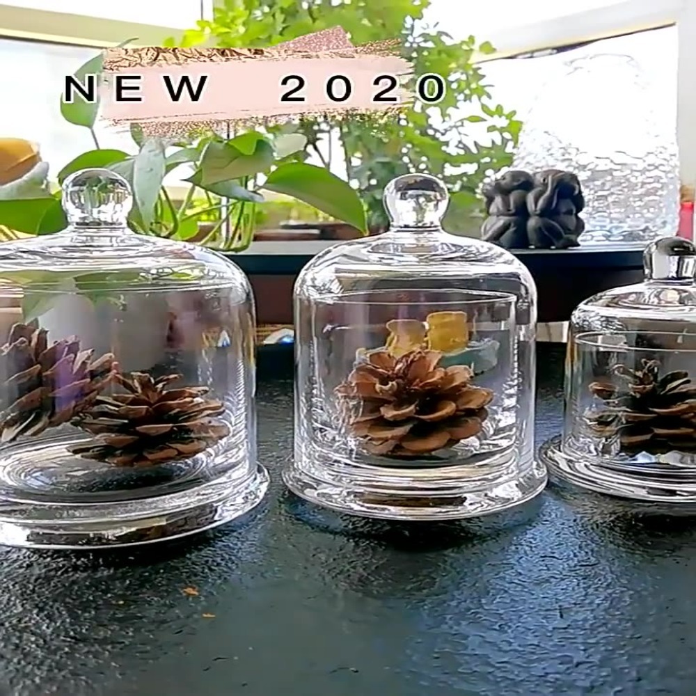 Glass Glass Storage Jar Eterna - Food Storage Of Plants ulasan dan harga